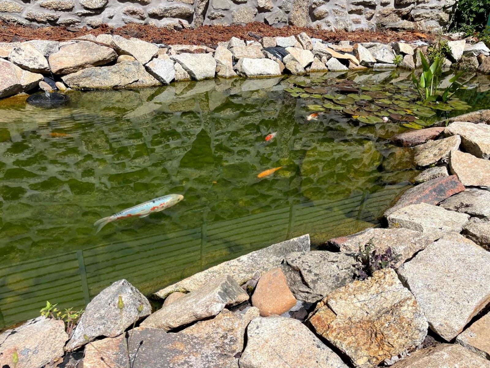 Cantinho D'Aldeia Guarda Dış mekan fotoğraf